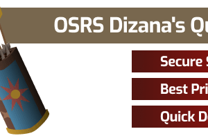 OSRS Dizana's Quiver Services